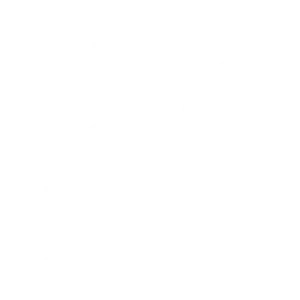 BARK